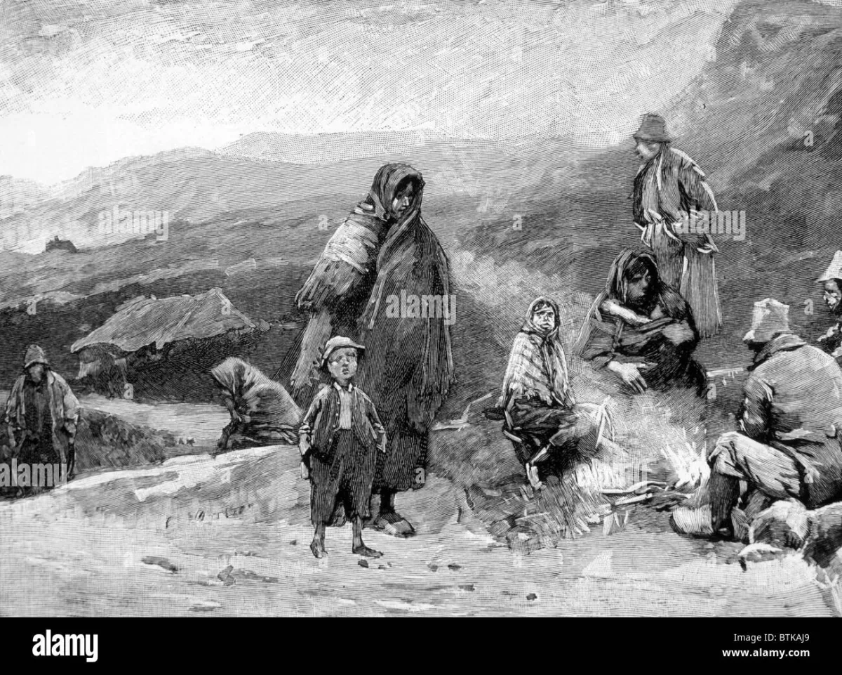 Irish Potato Famine