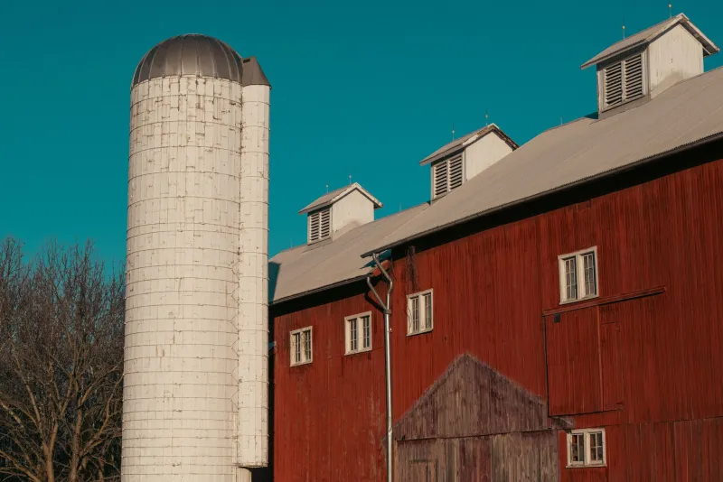 A Bad Harvest Once Meant Burying Your Children. Now It Means Switching Brands.