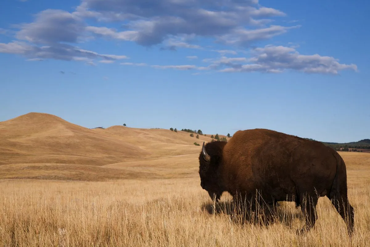 Great Plains