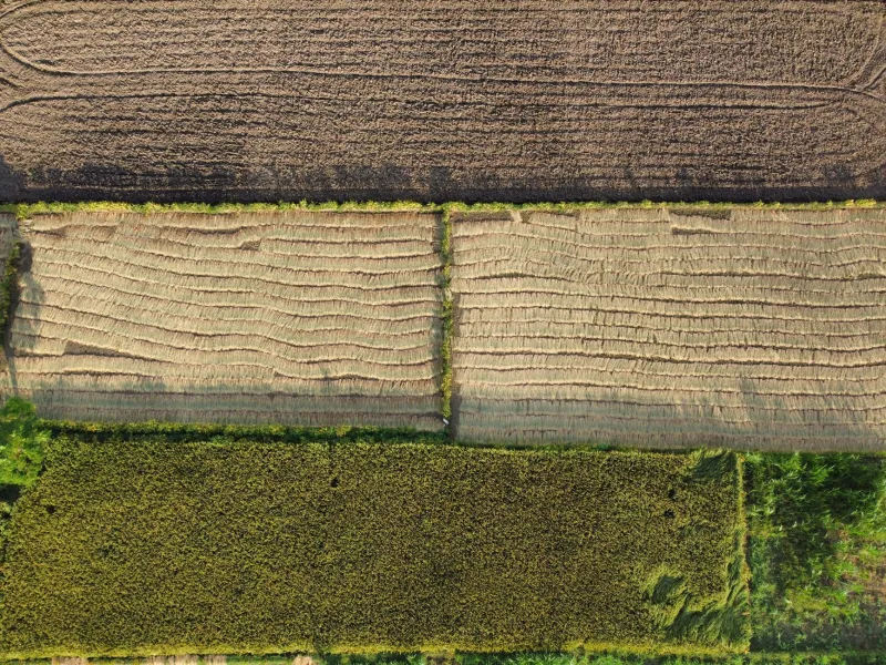 Farmers Once Bet Their Lives on a Red Sky at Morning. Now a Satellite Texts Them the Answer.