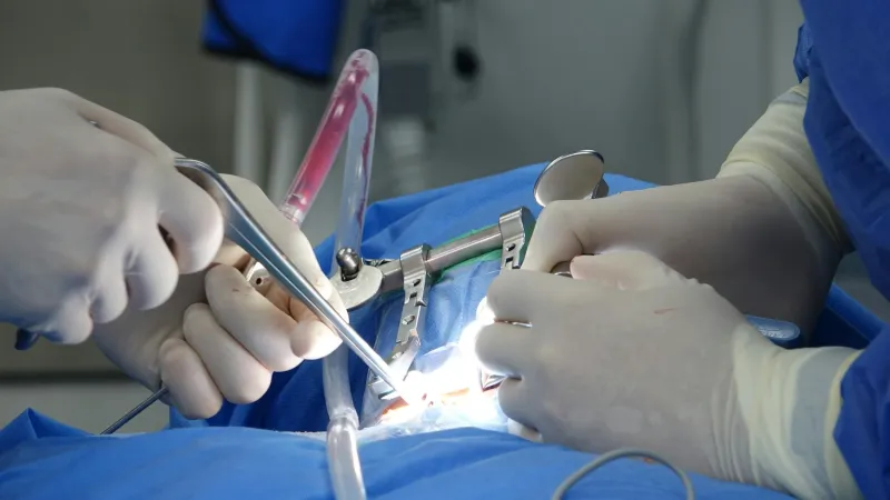 When Touching a Human Heart Meant Instant Death — Now Surgeons Repair It While It Keeps Beating